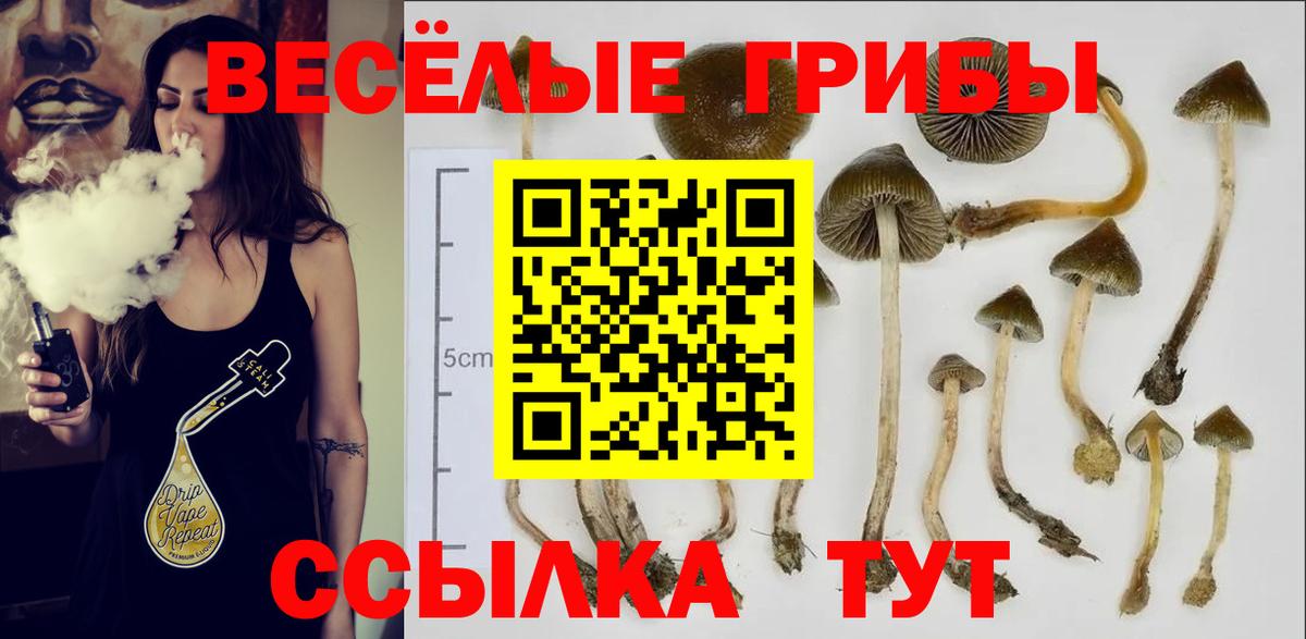 Псилоцибиновые грибы мухоморы  Вход с VPN  Красноармейск 